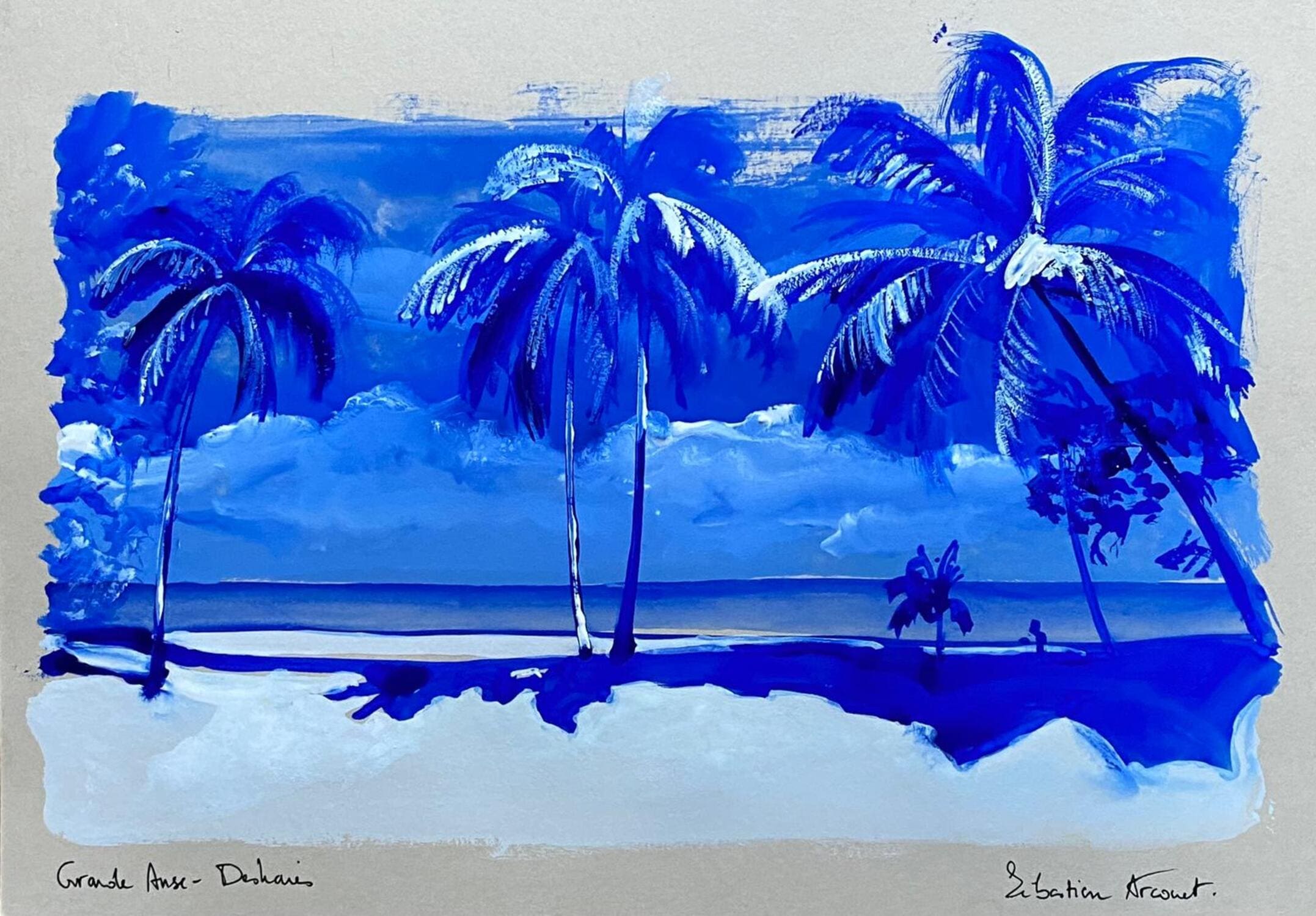 Deshaies Grande Anse Guadeloupe