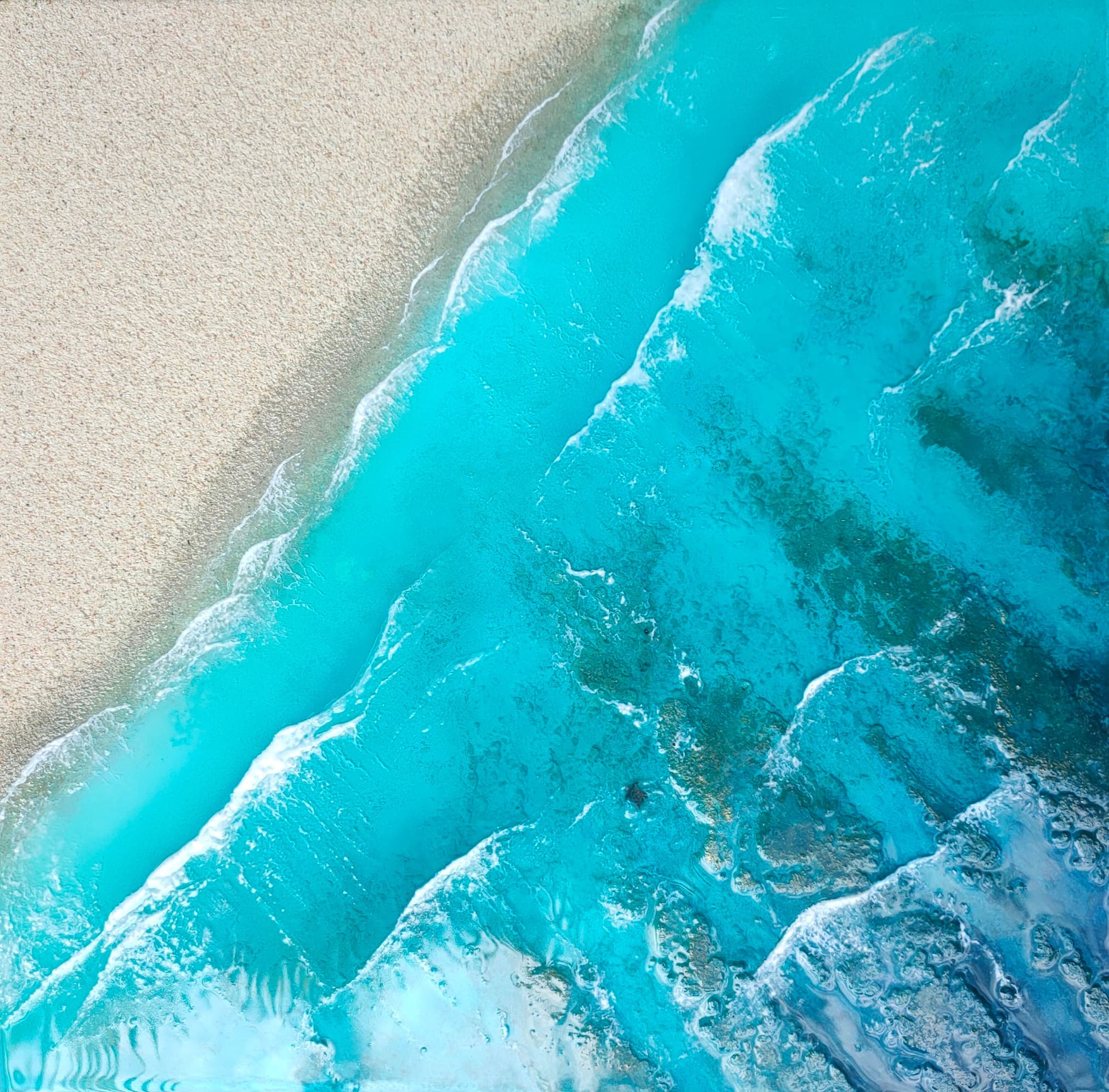 Les Belles Eaux, Tortue verte